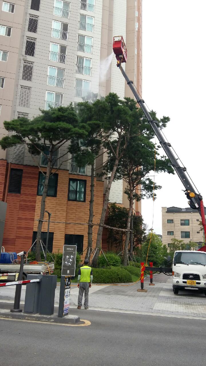 아파트 조경공사